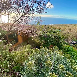 Abracaribes Bed & Breakfast